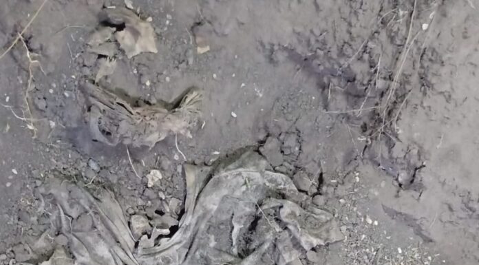 Hallan fosa clandestina con indicios de varias víctimas