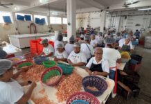 Trabajadoras de camarón en Tampico se quedan sin fuente de ingreso