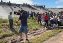 Rapiña de aguacates tras volcadura de tráiler en Reynosa