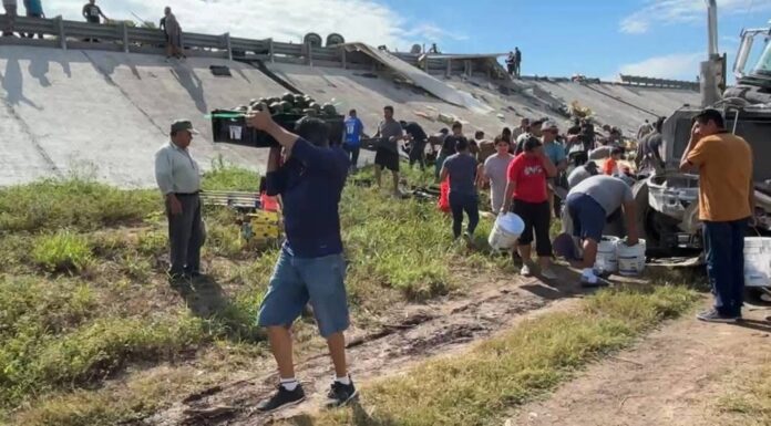 Rapiña de aguacates tras volcadura de tráiler en Reynosa