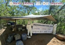 Semar incauta 21 toneladas de metanfetamina en Durango