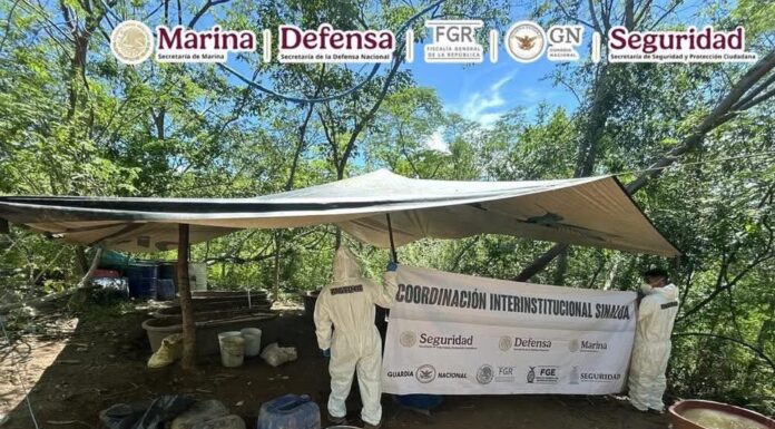 Semar incauta 21 toneladas de metanfetamina en Durango