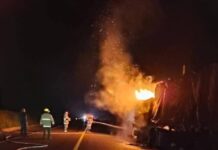 Incendio de tráiler paraliza tráfico en carretera Victoria–Zaragoza