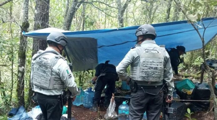 Campamentos criminales caen en operativo en Michoacán