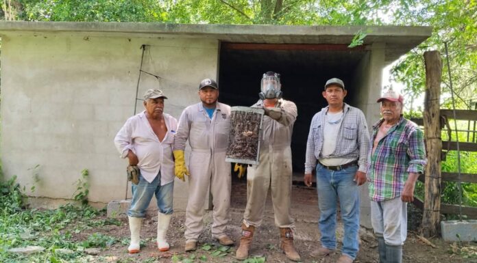 Rabia paralítica bovina desata alarma en productores de El Mante