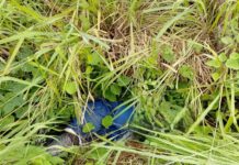 Motociclista muere en accidente en corredor urbano de Cd. Madero