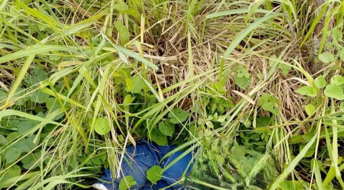 Motociclista muere en accidente en corredor urbano de Cd. Madero