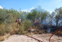 REPORTAN DOS INCENDIOS EN SOLARES BALDÍOS DE CAMARGO; POSTES DE CFE RESULTAN DAÑADOS