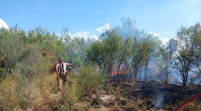 REPORTAN DOS INCENDIOS EN SOLARES BALDÍOS DE CAMARGO; POSTES DE CFE RESULTAN DAÑADOS
