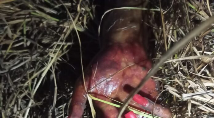 Localizan cuerpo sin vida de mujer con múltiples tatuajes en Tamaulipas