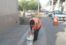 Mantenimiento y limpieza en avenidas principales en Reynosa