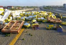 Tráiler cargado de aguacates se vuelca en el puente Pharr de Reynosa