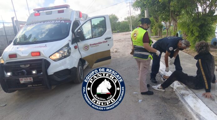 Ataque de abejas deja a un joven lesionado en Reynosa