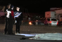 Atropellan y matan a hombre en carretera Mante-Victoria