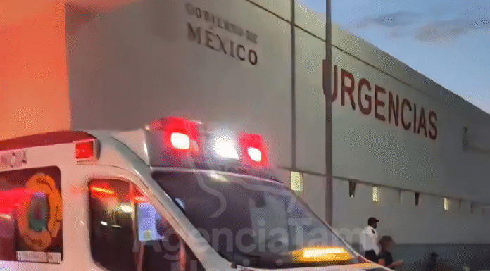 Enjambre de abejas desata pánico en Matamoros