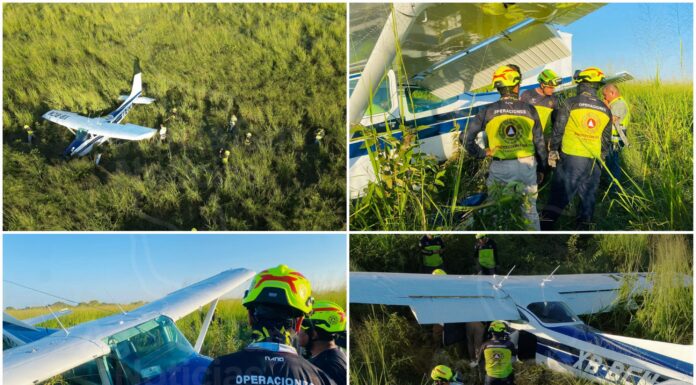 Salen vivos de milagro tras caída de avioneta en Tamaulipas