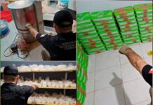 Fuerte golpe al narco en Sinaloa: aseguran 385 kilos de metanfetamina