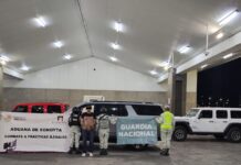 Interceptan tráiler con autos de lujo ocultos en frontera de Sonora