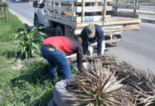 Continúa Gobierno de Reynosa con trabajo de limpieza y mantenimiento