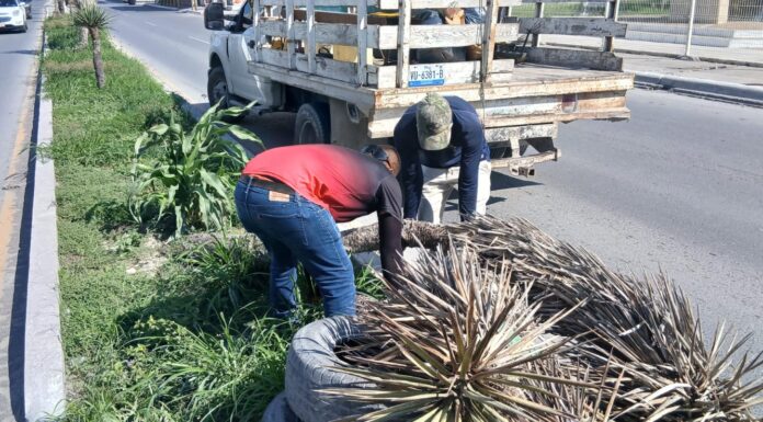 Continúa Gobierno de Reynosa con trabajo de limpieza y mantenimiento