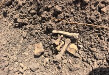 Restos humanos hallados en Reynosa alertan sobre fosas clandestinas