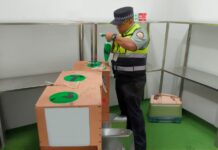 Aseguran avestruces en aeropuerto de Reynosa