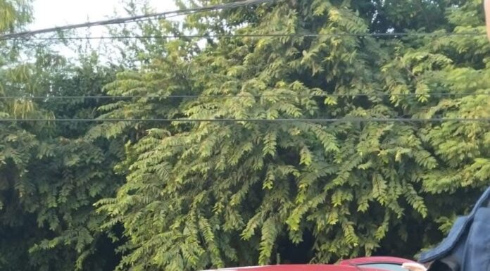 Taxi choca contra poste en Altamira y deja a mujer prensada