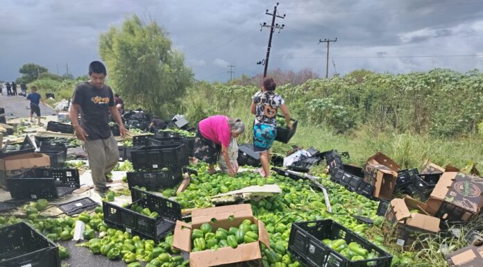 ¡Se volcó tráiler con verduras en plena lluvia!