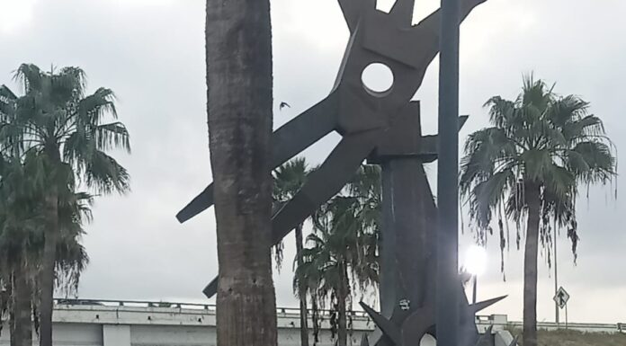 Actividades de conservación de espacios públicos en Reynosa