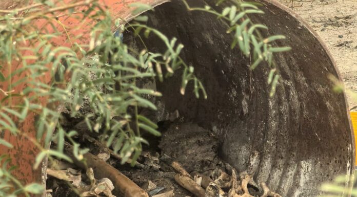 Restos humanos hallados en Reynosa durante búsqueda de desaparecidos