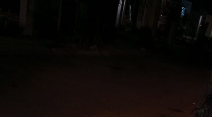 Avanza protección a la calidad de vida de los animales en Reynosa