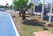 Efectúa Gobierno Municipal de Reynosa actividades de limpieza y mantenimiento