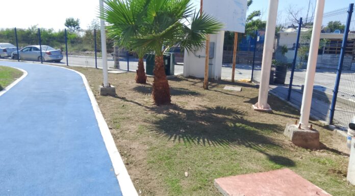 Efectúa Gobierno Municipal de Reynosa actividades de limpieza y mantenimiento