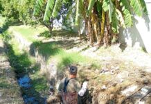 Realizó COMAPA limpieza de pluvial de la colonia Marte R. Gómez