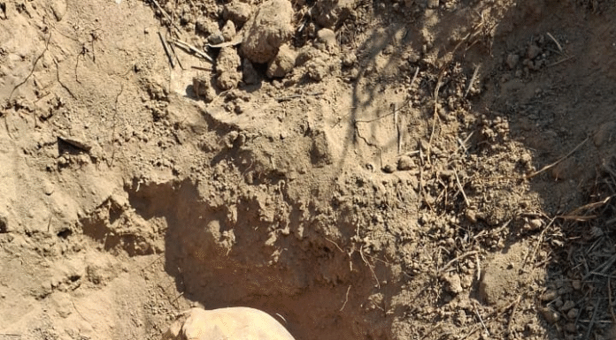 Localizan cráneos humanos en Reynosa durante búsqueda de fosas clandestinas