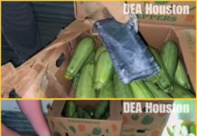 Autoridades incautan 400 kilos de metanfetamina escondidos en cajas de calabaza en Houston