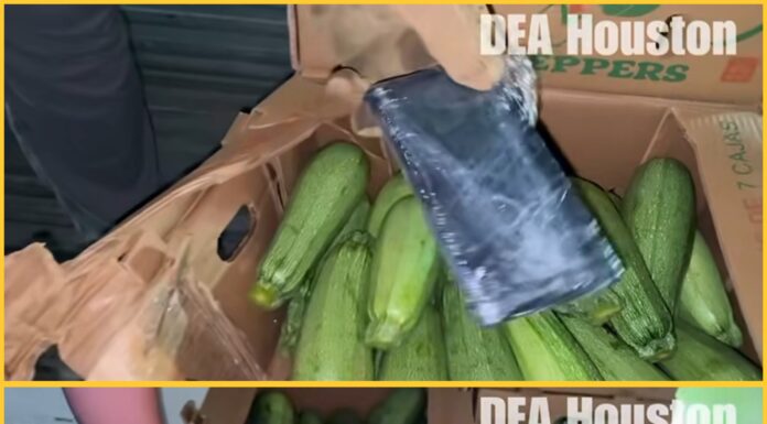 Autoridades incautan 400 kilos de metanfetamina escondidos en cajas de calabaza en Houston