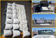 Metanfetamina: decomisan 197 kilos en operativo federal