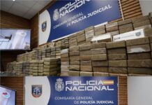 Cae la “oficina fantasma” del cártel más temido del continente: 20 detenidos en operativo sin precedentes