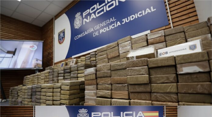 Cae la “oficina fantasma” del cártel más temido del continente: 20 detenidos en operativo sin precedentes