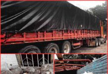 Marihuana: Caen más de 2.9 toneladas tras operativo sorpresa en Oaxaca