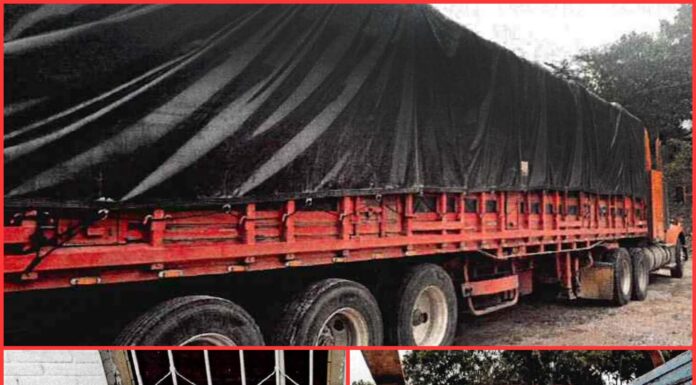 Marihuana: Caen más de 2.9 toneladas tras operativo sorpresa en Oaxaca