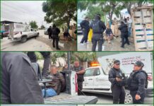 Crueldad animal sacude a Reynosa tras ataque contra gatitos en el Fraccionamiento Halcón