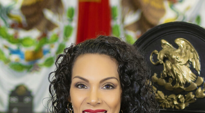 Hasta diez años de prisión por ciberacoso en Tamaulipas propone diputada local