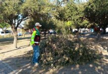Efectúa Gobierno de Carlos Peña Ortiz actividades de limpieza y mantenimiento de Reynosa