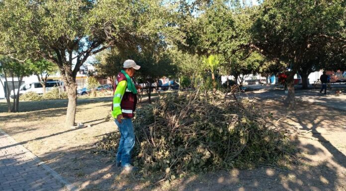 Efectúa Gobierno de Carlos Peña Ortiz actividades de limpieza y mantenimiento de Reynosa
