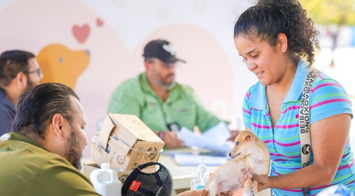 Mascotas sanas en Reynosa con programa veterinario del Alcalde Carlos Peña Ortiz