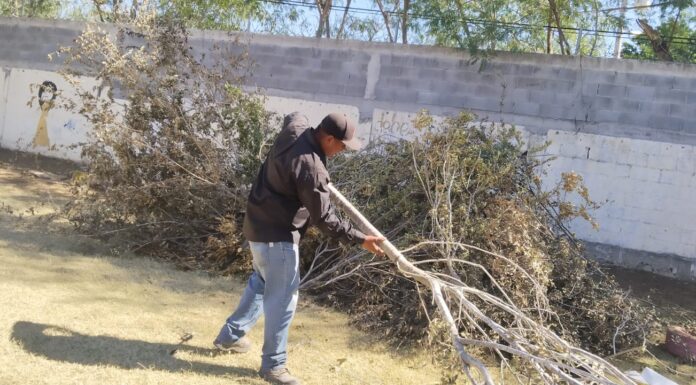Cumple Gobierno de Reynosa mantenimiento y limpieza de la ciudad