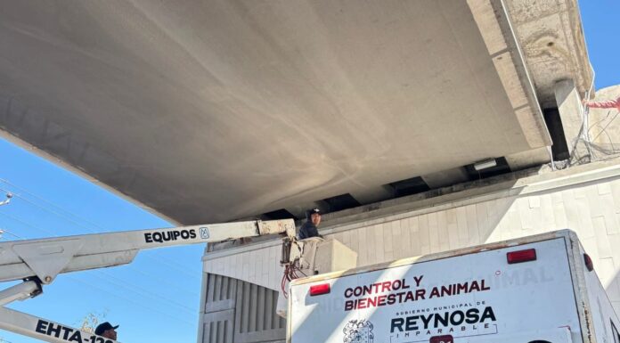 Escribieron Gobierno de Reynosa y ciudadanos una historia de amor y compasión