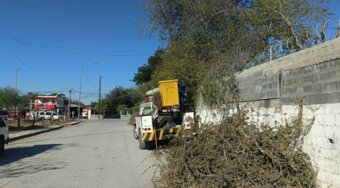 Podan cuadrillas municipales árboles, para seguridad de alumnos de escuela de Reynosa